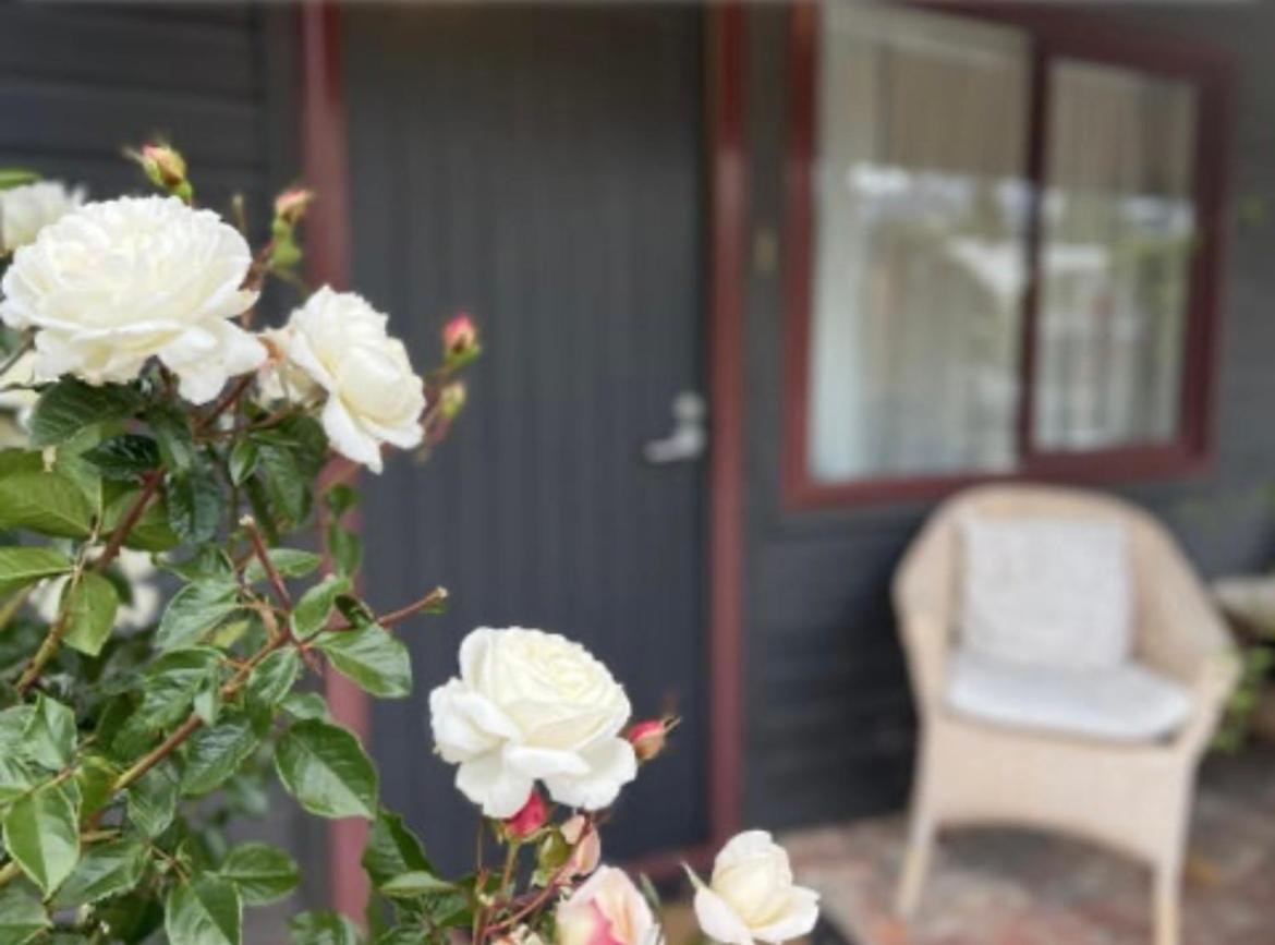 #2 Glenorchy Alpine Suite المظهر الخارجي الصورة